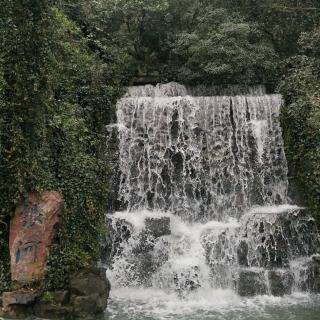 知青岁月-雷平生