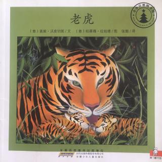 小小自然图书馆-老虎🐯