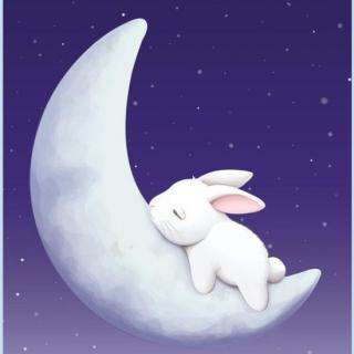 赛锐思睡前故事《月亮上的小白兔》