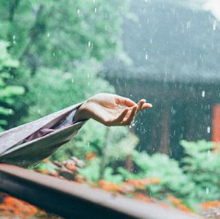 我在春天等你——文/听雨