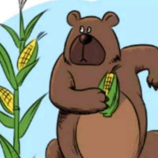 绘本故事《狗熊借玉米种子》