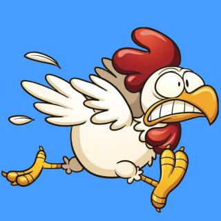 20190320假期斗鸡