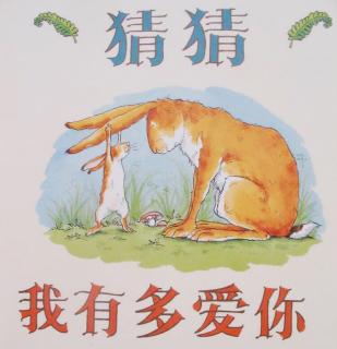 👩🏼‍🏫文艺老师讲故事《猜猜我有多爱你》