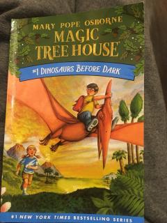 Magic Tree House 1