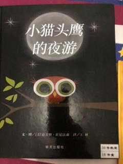 小猫头鹰的夜游