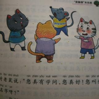 三只骄傲的小猫🐱（四）