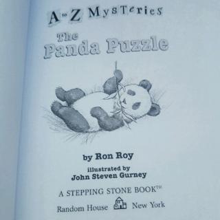The Panda Puzzle 28