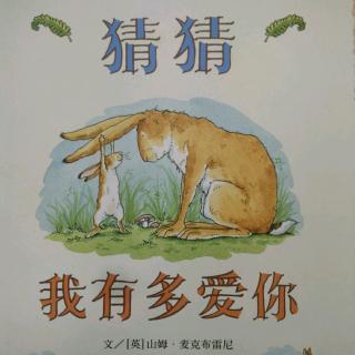 猜猜我有多爱你