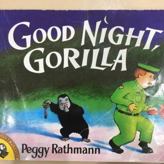 Good night，Gorila