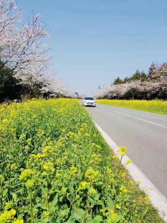 学会接受爱与礼物
