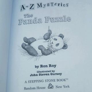 The Panda Puzzle 29