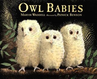 Owl Babies（英文绘本 猫头鹰宝宝）