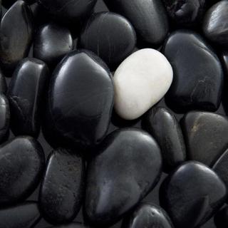 【小瑶姐姐讲故事3.23】黑石子和白石子