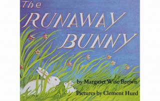 【经典绘本】The run away bunny 逃家小兔