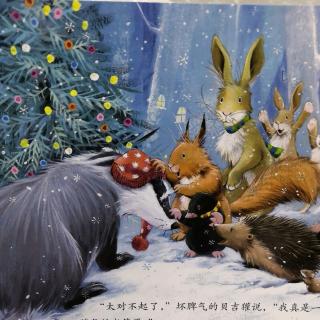 阳光宝宝幼儿园第317期《贝吉獾的圣诞节🎄》