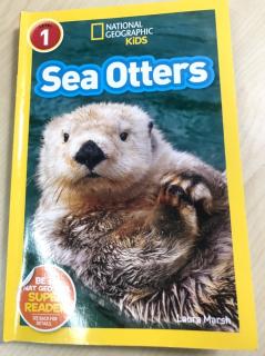 Richard-3月-See Otters (National Geographic Kids1)