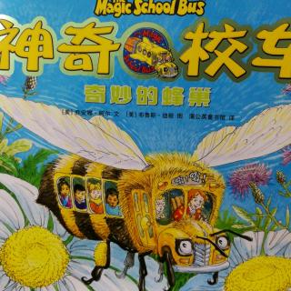 神奇的校车—奇妙的的蜂巢1