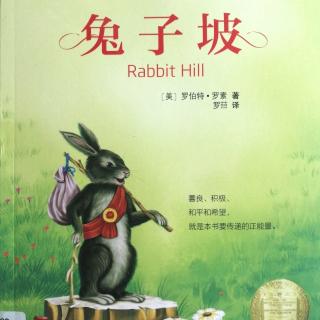 《兔子坡》🐰第一章 新人家要来啦