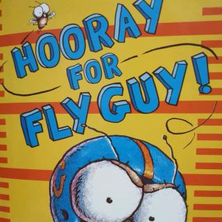 Hooray for fly guy