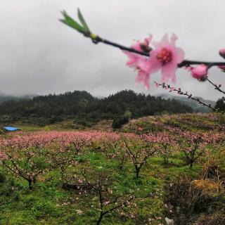 不生气，你就赢了（深度好文）