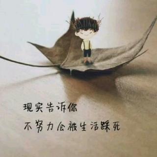 你好，陌生人。晚安。