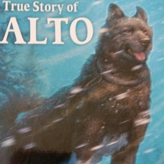 The  Bravest  Dog  The  True  Story  of  BALTO