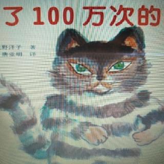 活了100万次的猫1