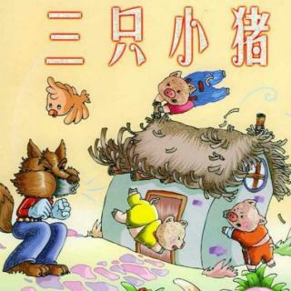 『丸子读绘本』三只小猪盖房子