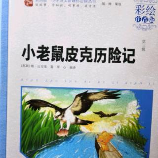 《小老鼠皮克历险记（165-190页）》39分钟