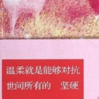 《女人与清水、纸张与垃圾》