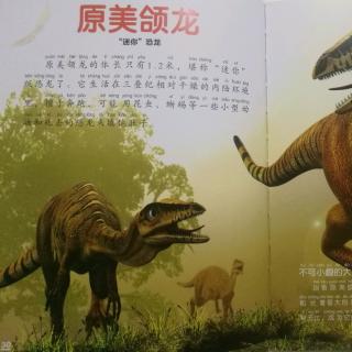 10原美颌龙  “迷你”恐龙
