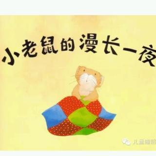 小老鼠的漫长一夜