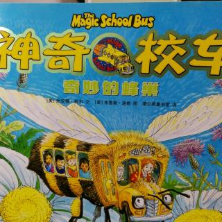 神奇的校车—奇妙的蜂巢2