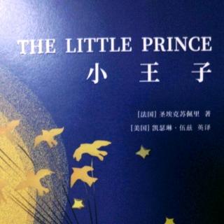 The little prince Day21