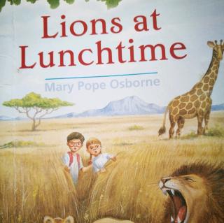 Lions At Lunchtime(4)