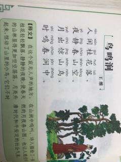 诗《鸟鸣涧》王维