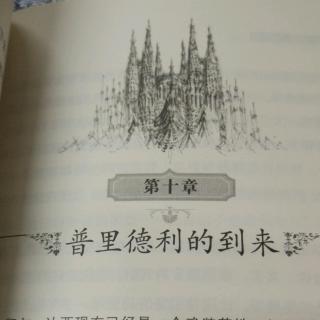 《奇幻岛英雄～至高王》28.普里德利的到来中