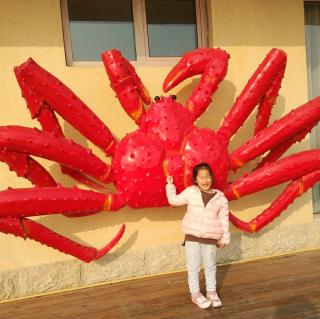 【小雨读诗歌】——《沙子王国》