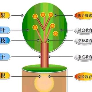 那些经不起挫折的孩子，后来都怎样了？