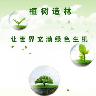 《植树感怀》文:舍得