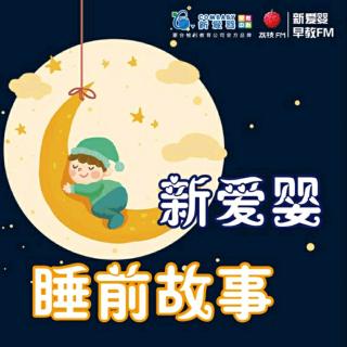 为什么要慢慢地吃东西|一天一个睡前故事