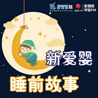 叶子为什么是绿色的|一天一个睡前故事