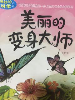 美丽的变身大师