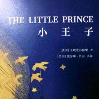 The little prince Day23