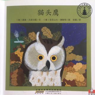 小小自然图书馆-猫头鹰🦉