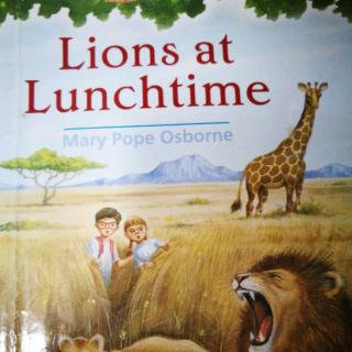 Lions At Lunchtime(7)