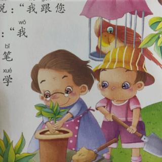 喵喵老师🐱119《红鹦鹉和绿鹦鹉》