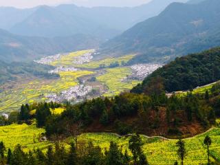 心灵的旅行—寻觅婺源（节选）作者朗诵：金色麦浪