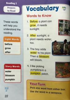 G1-U4-Reading 2-Vocabulary