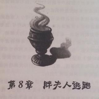 二宝妈妈讲故事《第八章.胖夫人逃跑》